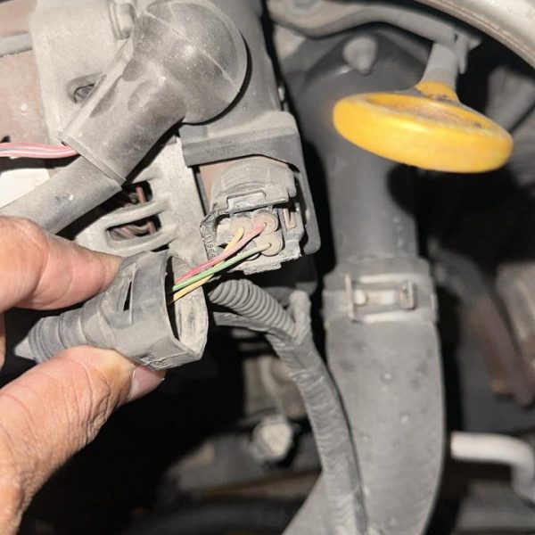 WhatsApp Image 2026-01-09 at 10.53.02 PM