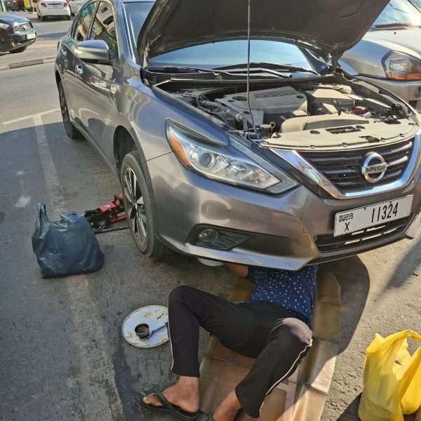 WhatsApp Image 2026-01-10 at 11.29.50 AM