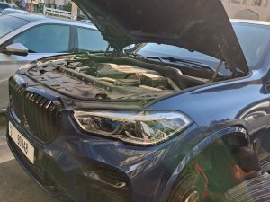 WhatsApp Image 2026-01-11 at 5.44.35 PM